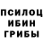 Галлюциногенные грибы Cubensis Zulfiya Sartbaeva