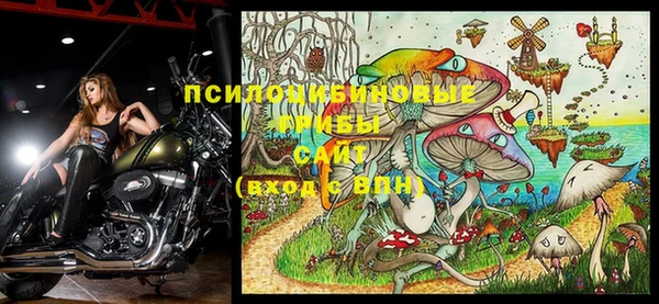 jwh Осташков