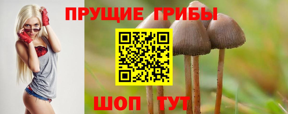 наркошоп  Вход с VPN  Галлюциногенные грибы ЛСД  Юрга  Псилоцибиновые грибы Cubensis 
