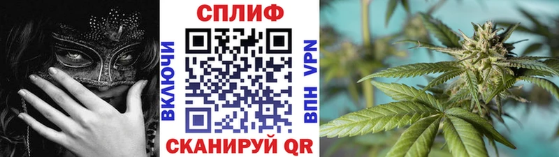 Марихуана White Widow  где найти наркотики  Юрга 
